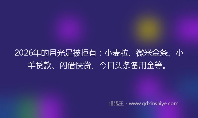 2026年的月光足被拒有：小麦粒、微米金条、小羊贷款、闪借快贷、今日头条备用金等。