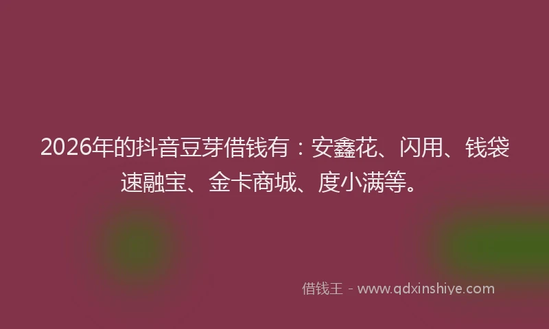2026年的抖音豆芽借钱有：安鑫花、闪用、钱袋速融宝、金卡商城、度小满等。