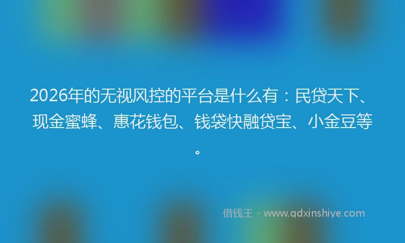 2026年的无视风控的平台是什么有：民贷天下、现金蜜蜂、惠花钱包、钱袋快融贷宝、小金豆等。