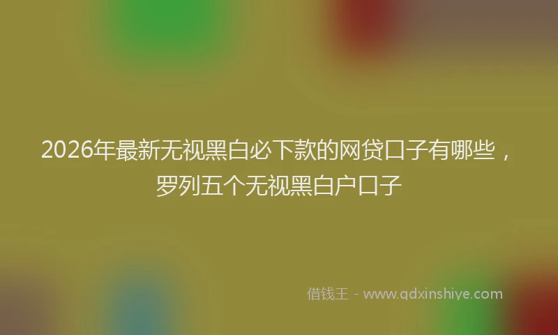 2026年最新无视黑白必下款的网贷口子有哪些，罗列五个无视黑白户口子