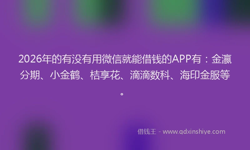 2026年的有没有用微信就能借钱的APP有：金瀛分期、小金鹤、桔享花、滴滴数科、海印金服等。
