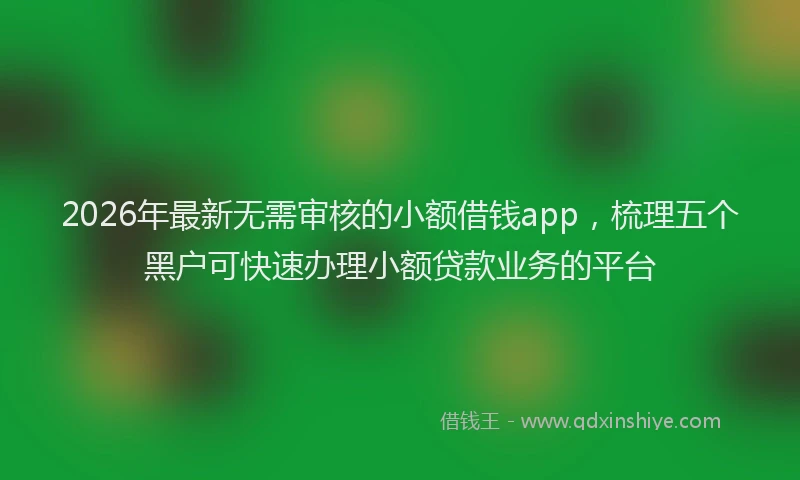 2026年最新无需审核的小额借钱app，梳理五个黑户可快速办理小额贷款业务的平台