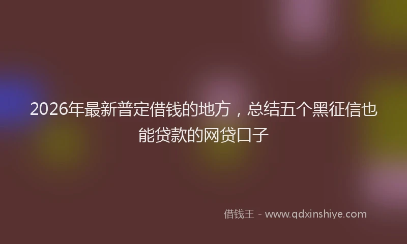 2026年最新普定借钱的地方，总结五个黑征信也能贷款的网贷口子