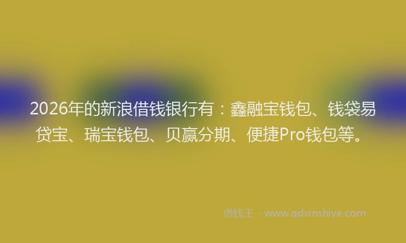 2026年的新浪借钱银行有：鑫融宝钱包、钱袋易贷宝、瑞宝钱包、贝赢分期、便捷Pro钱包等。