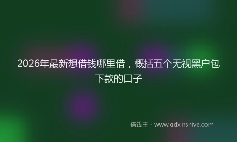 2026年最新想借钱哪里借，概括五个无视黑户包下款的口子