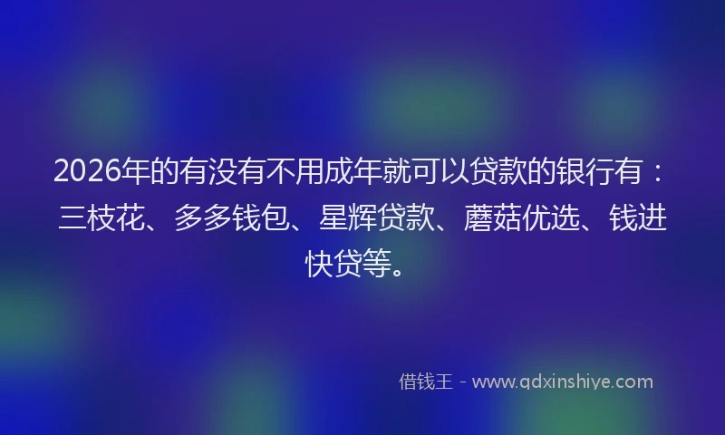 2026年的有没有不用成年就可以贷款的银行有：三枝花、多多钱包、星辉贷款、蘑菇优选、钱进快贷等。