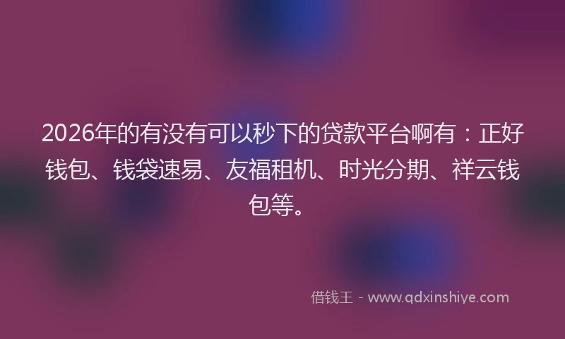 2026年的有没有可以秒下的贷款平台啊有：正好钱包、钱袋速易、友福租机、时光分期、祥云钱包等。