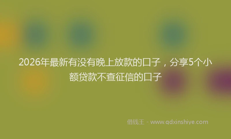 2026年最新有没有晚上放款的口子，分享5个小额贷款不查征信的口子