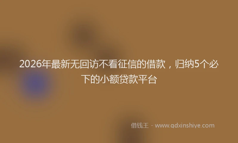 2026年最新无回访不看征信的借款，归纳5个必下的小额贷款平台