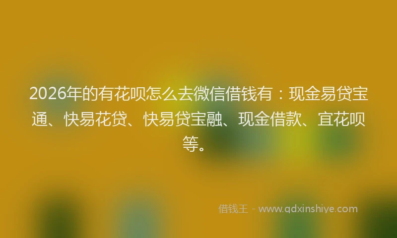 2026年的有花呗怎么去微信借钱有：现金易贷宝通、快易花贷、快易贷宝融、现金借款、宜花呗等。