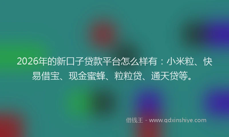 2026年的新口子贷款平台怎么样有：小米粒、快易借宝、现金蜜蜂、粒粒贷、通天贷等。