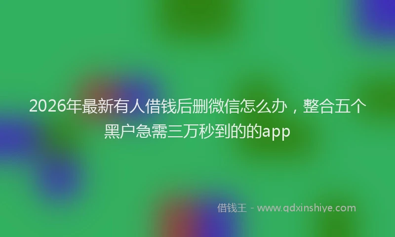 2026年最新有人借钱后删微信怎么办，整合五个黑户急需三万秒到的的app