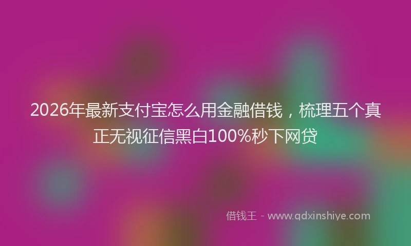 2026年最新支付宝怎么用金融借钱，梳理五个真正无视征信黑白100%秒下网贷