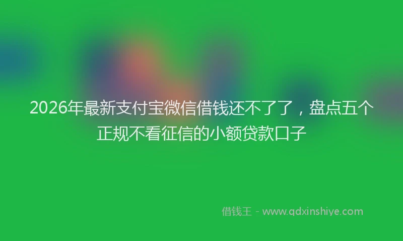 2026年最新支付宝微信借钱还不了了，盘点五个正规不看征信的小额贷款口子