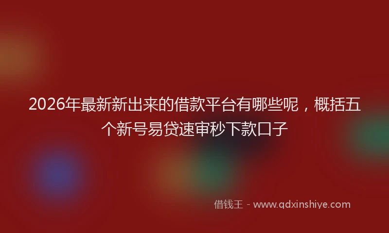 2026年最新新出来的借款平台有哪些呢，概括五个新号易贷速审秒下款口子