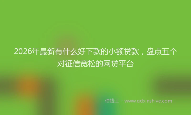 2026年最新有什么好下款的小额贷款，盘点五个对征信宽松的网贷平台