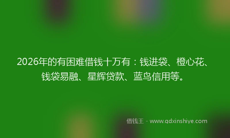 2026年的有困难借钱十万有：钱进袋、橙心花、钱袋易融、星辉贷款、蓝鸟信用等。