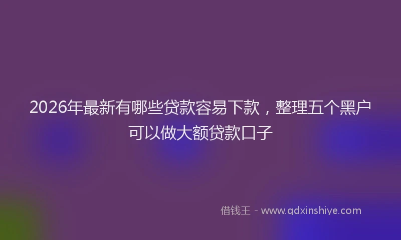 2026年最新有哪些贷款容易下款，整理五个黑户可以做大额贷款口子