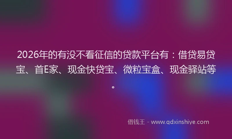 2026年的有没不看征信的贷款平台有：借贷易贷宝、首E家、现金快贷宝、微粒宝盒、现金驿站等。
