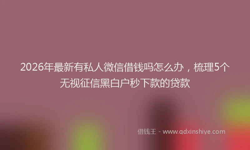 2026年最新有私人微信借钱吗怎么办，梳理5个无视征信黑白户秒下款的贷款