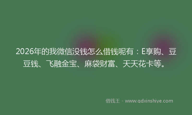 2026年的我微信没钱怎么借钱呢有：E享购、豆豆钱、飞融金宝、麻袋财富、天天花卡等。