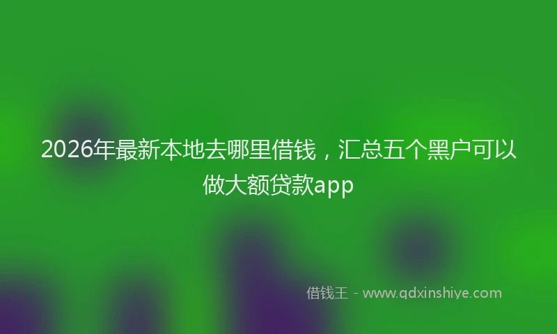 2026年最新本地去哪里借钱，汇总五个黑户可以做大额贷款app