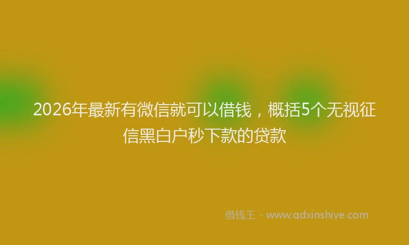 2026年最新有微信就可以借钱，概括5个无视征信黑白户秒下款的贷款