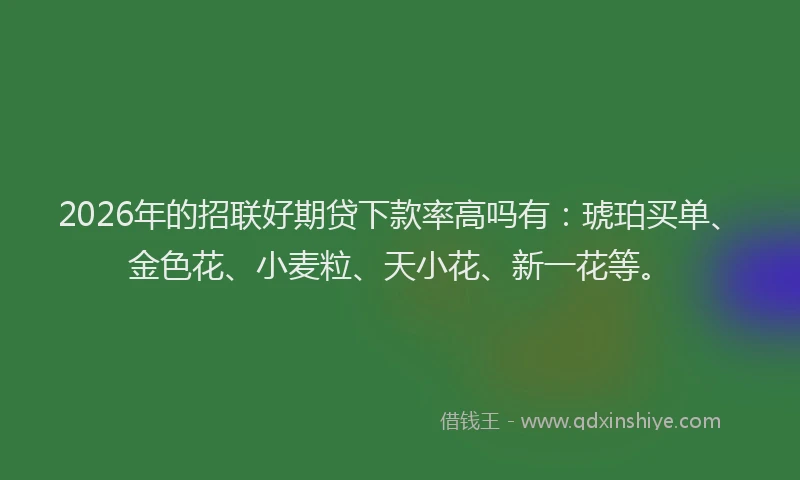 2026年的招联好期贷下款率高吗有：琥珀买单、金色花、小麦粒、天小花、新一花等。