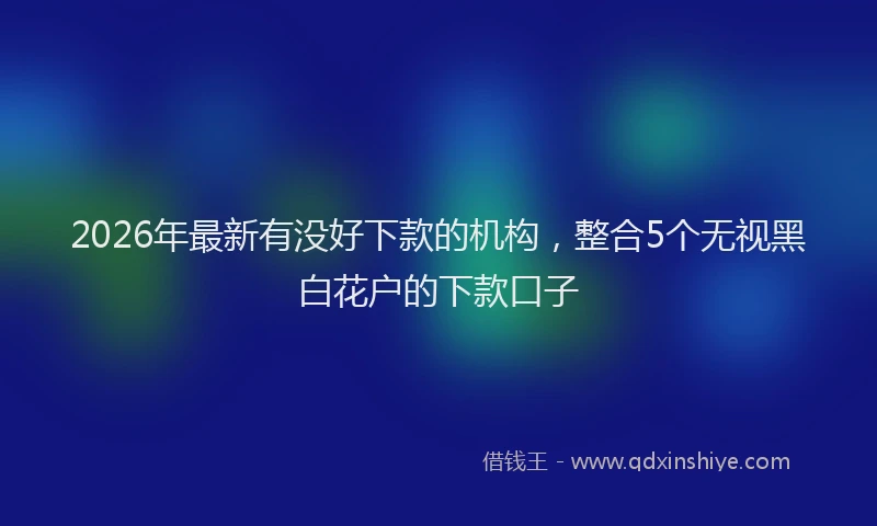 2026年最新有没好下款的机构，整合5个无视黑白花户的下款口子