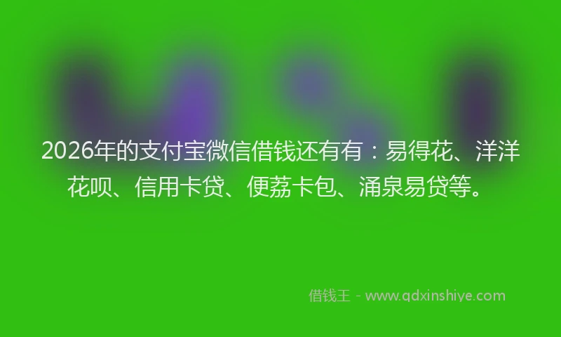 2026年的支付宝微信借钱还有有：易得花、洋洋花呗、信用卡贷、便荔卡包、涌泉易贷等。