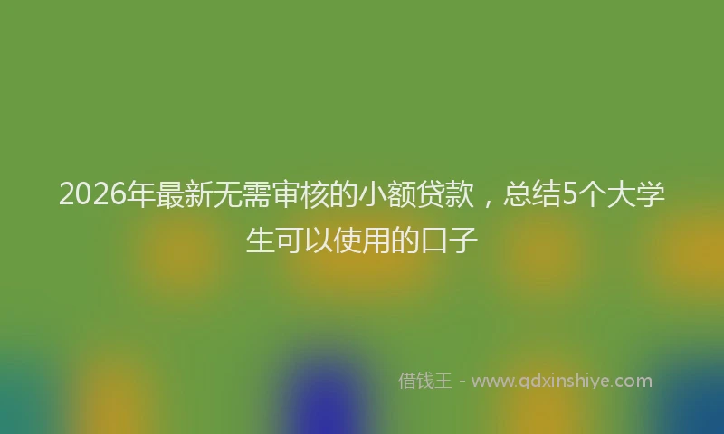 2026年最新无需审核的小额贷款，总结5个大学生可以使用的口子