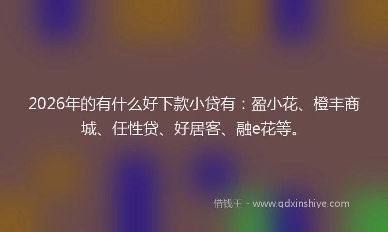 2026年的有什么好下款小贷有：盈小花、橙丰商城、任性贷、好居客、融e花等。