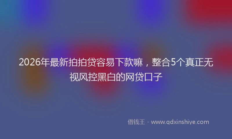 2026年最新拍拍贷容易下款嘛，整合5个真正无视风控黑白的网贷口子