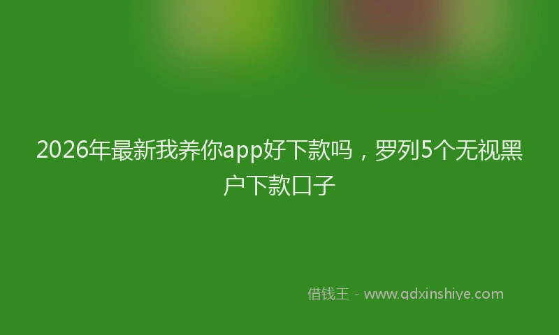 2026年最新我养你app好下款吗，罗列5个无视黑户下款口子