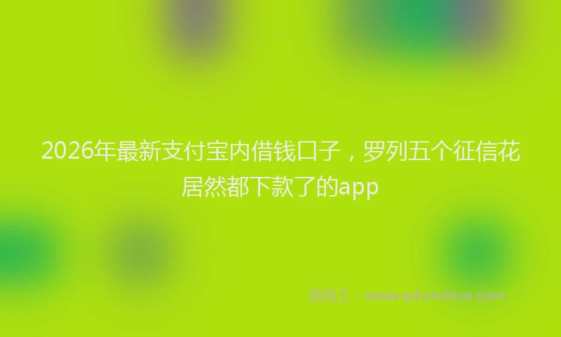 2026年最新支付宝内借钱口子，罗列五个征信花居然都下款了的app