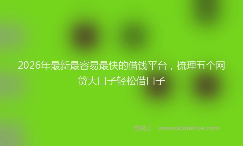 2026年最新最容易最快的借钱平台，梳理五个网贷大口子轻松借口子