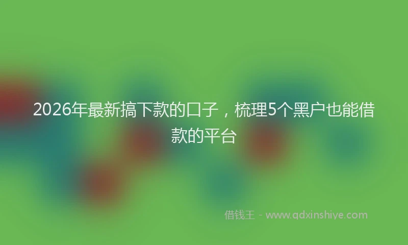 2026年最新搞下款的口子，梳理5个黑户也能借款的平台
