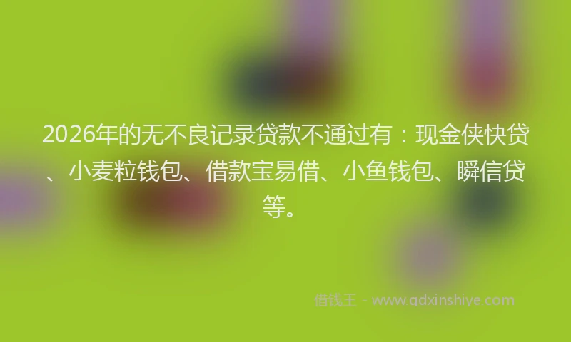 2026年的无不良记录贷款不通过有：现金侠快贷、小麦粒钱包、借款宝易借、小鱼钱包、瞬信贷等。