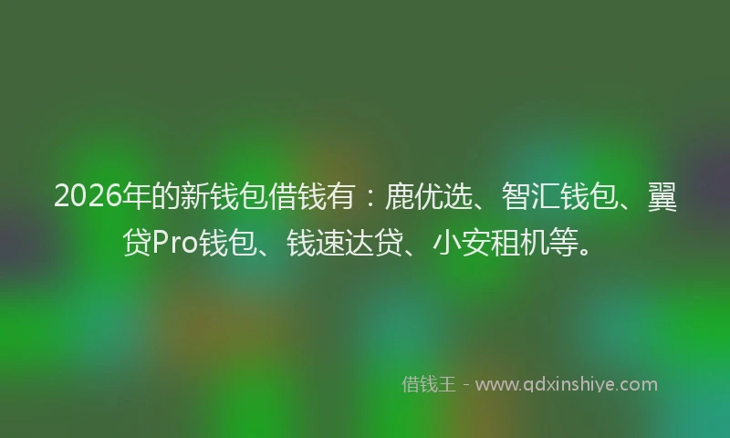 2026年的新钱包借钱有：鹿优选、智汇钱包、翼贷Pro钱包、钱速达贷、小安租机等。
