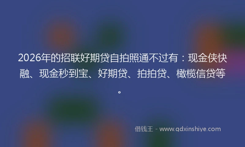 2026年的招联好期贷自拍照通不过有：现金侠快融、现金秒到宝、好期贷、拍拍贷、橄榄信贷等。