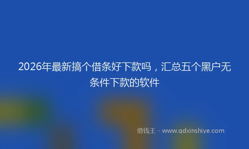 2026年最新搞个借条好下款吗，汇总五个黑户无条件下款的软件