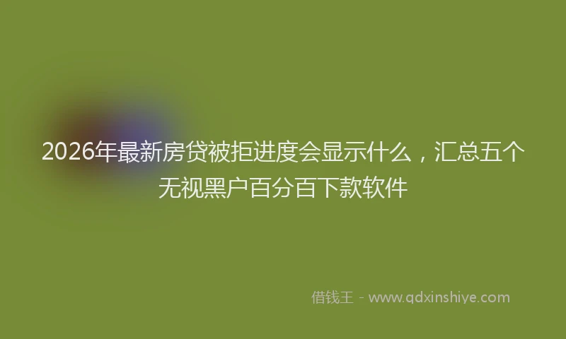 2026年最新房贷被拒进度会显示什么，汇总五个无视黑户百分百下款软件