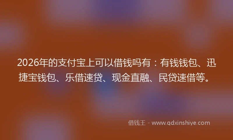 2026年的支付宝上可以借钱吗有：有钱钱包、迅捷宝钱包、乐借速贷、现金直融、民贷速借等。
