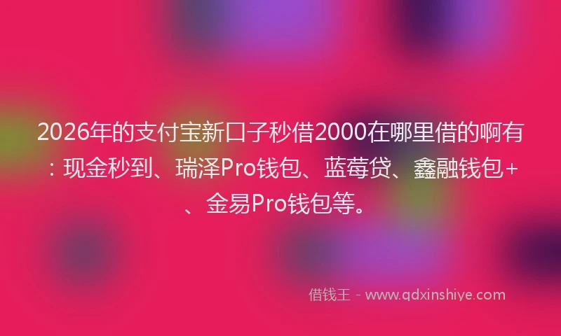2026年的支付宝新口子秒借2000在哪里借的啊有：现金秒到、瑞泽Pro钱包、蓝莓贷、鑫融钱包+、金易Pro钱包等。