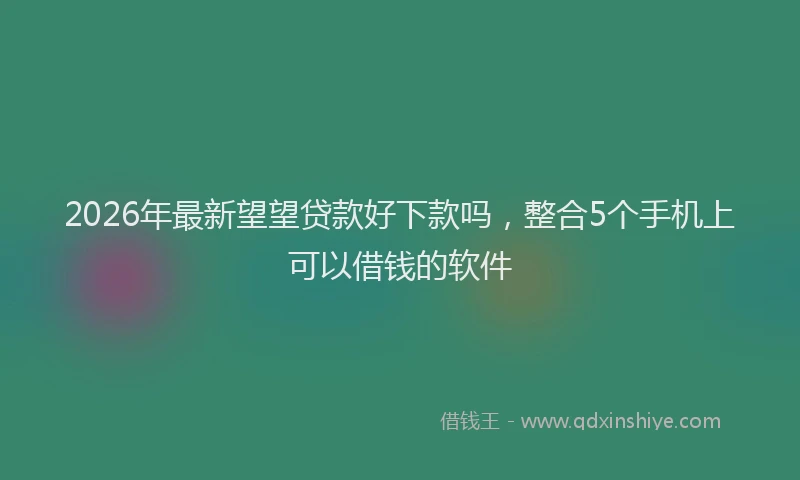 2026年最新望望贷款好下款吗，整合5个手机上可以借钱的软件