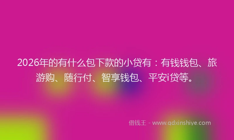 2026年的有什么包下款的小贷有：有钱钱包、旅游购、随行付、智享钱包、平安i贷等。