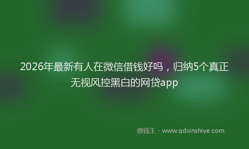 2026年最新有人在微信借钱好吗，归纳5个真正无视风控黑白的网贷app