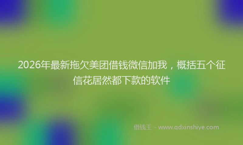 2026年最新拖欠美团借钱微信加我，概括五个征信花居然都下款的软件