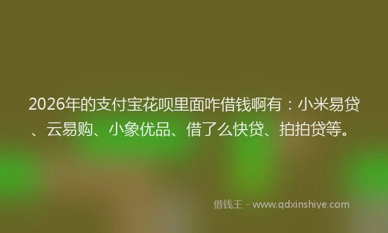 2026年的支付宝花呗里面咋借钱啊有：小米易贷、云易购、小象优品、借了么快贷、拍拍贷等。