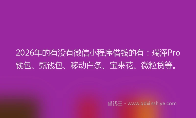 2026年的有没有微信小程序借钱的有：瑞泽Pro钱包、甄钱包、移动白条、宝来花、微粒贷等。